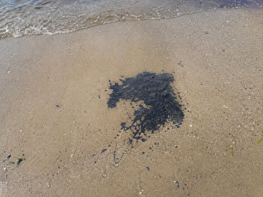 Петно от мазут на варненски плаж, Басейновата дирекция се самосезира
