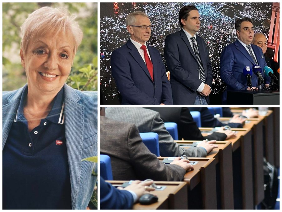 Диана Дамянова за ПП и ДБ: Идеята, че разделени ще привличат нови избиратели, не само такива от жълтите павета, а и от други павета, е направо смайваща