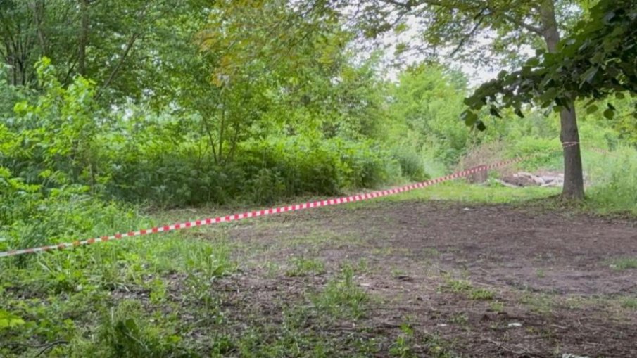 След взрива в Горна Оряховица: Установиха замърсени води, опасни за хора, животни и растения