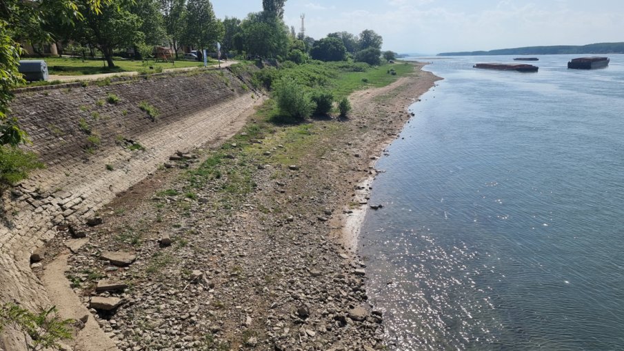 Ниското ниво на Дунав разкри острови край Лом