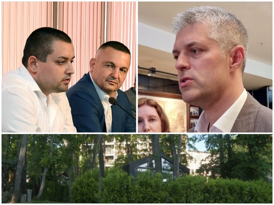 НОВИ РАЗКРИТИЯ: КУБ секли поголовно дървета без заповед, докато Благо Коцев тупал топката