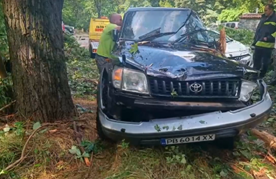 Дърво премаза автомобили пред ресторант до Пловдив