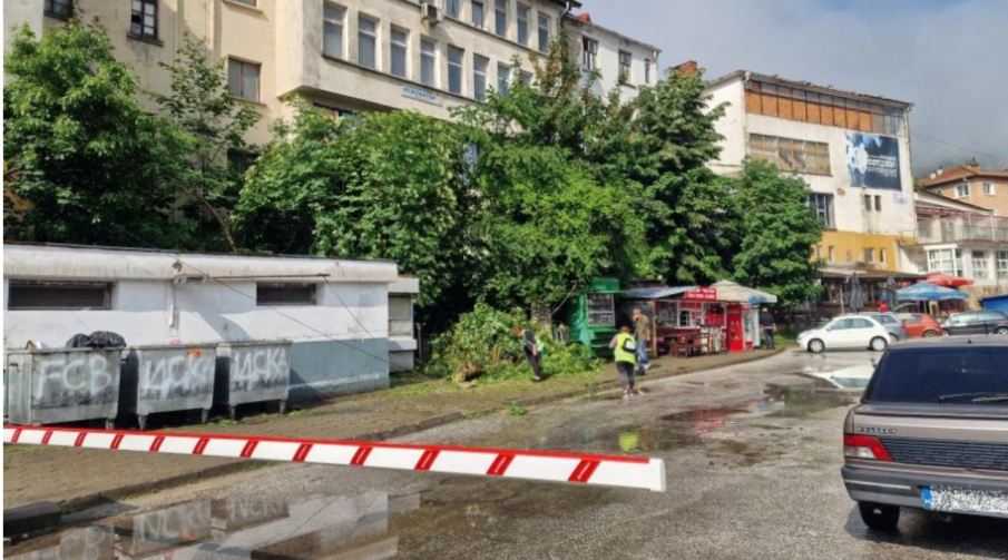 Мълния повали дърво до автогарата в Смолян