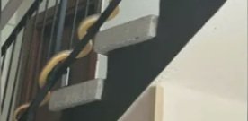 Огромна змия шокира живеещи в блок в Пловдив
