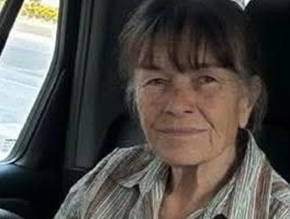 Полиция, доброволци и следово куче издирват жена край Смолян