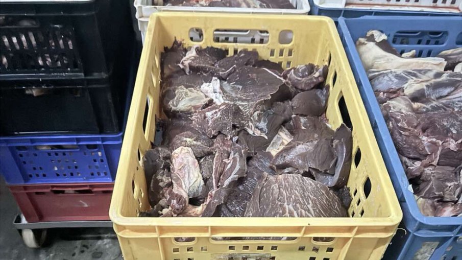 БАБХ спря близо 500 кг негодно свинско месо и животински продукти в Хасково