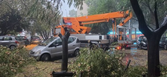 Над 80 сигнала след лятната буря в Пловдив