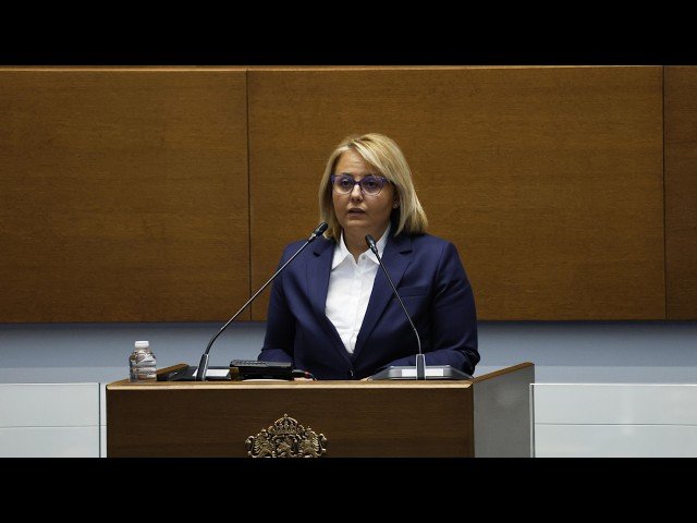 Айтен Сабри за Изборния кодекс: Демокрацията не се измерва с броя на ограниченията пред гражданите (ВИДЕО)