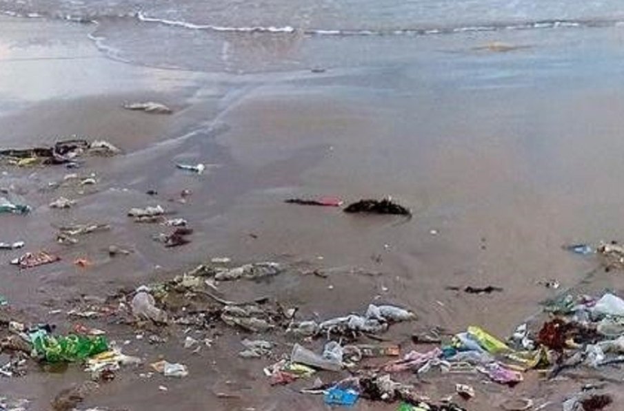 ГНУСНО: Дамски превръзки и тоалетна хартия изплуваха на плаж във Варна