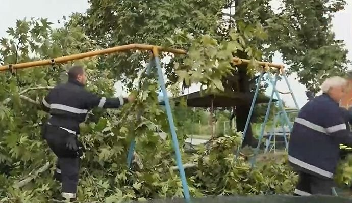 Буря вилня в Петрич: Вятърът изкорени дървета и нанесе сериозни щети