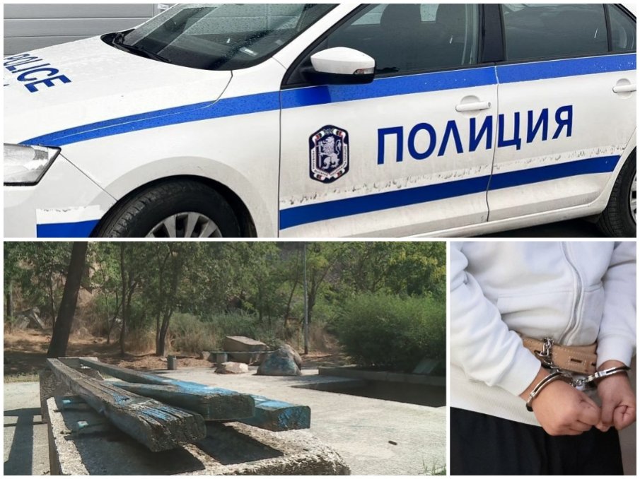 Психотерапевт за бруталното убийство в Пловдив: Съучастници сме всички ние в нашето общество