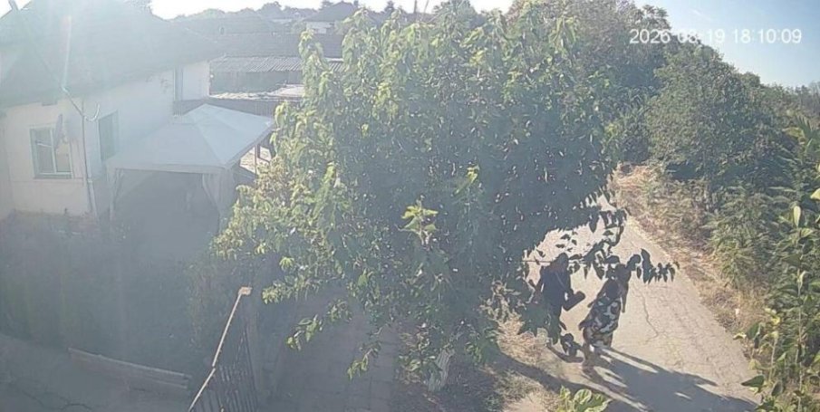 Полицията издирва две непълнолетни сестри от село Лехчево (СНИМКИ)