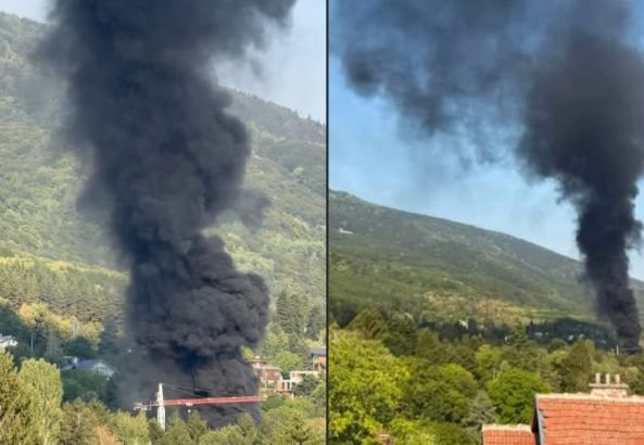 Пожар лумна в Драгалевци