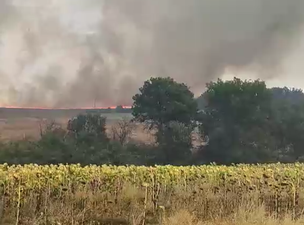 Пожар избухна на военния полигон Корен