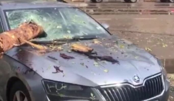 Бурята в София нанесе щети: Дърво проби стъклото на автомобил, общо 34 са сигналите за паднали дървета (ВИДЕО)