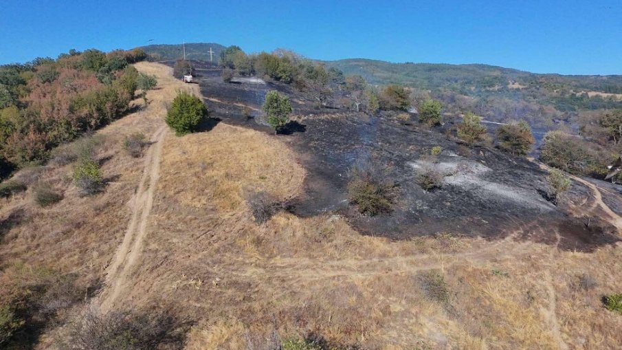 250 декара растителност изгоряха в Сърнена средна гора над Мраченик