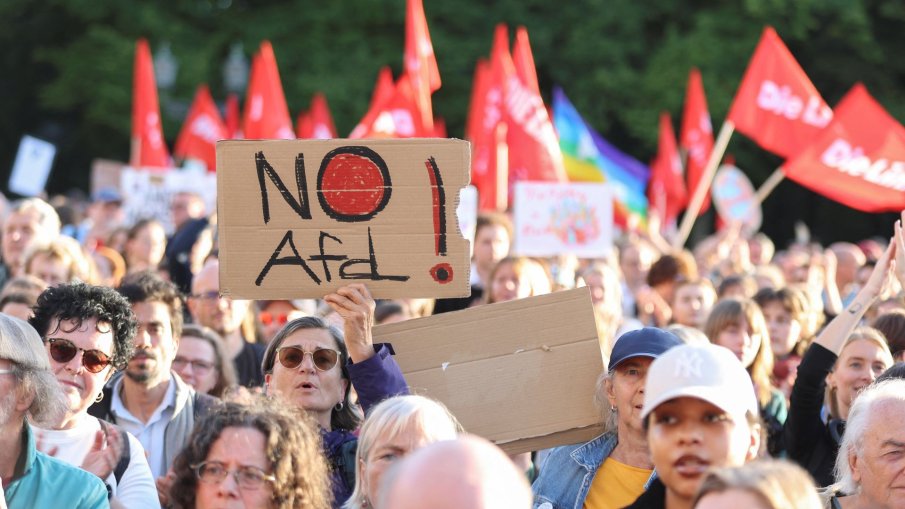 Простреляха в лицето протестиращ срещу Алтернатива за Германия