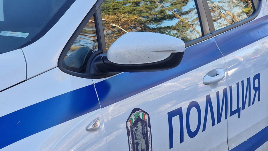 Разследват побой на 80-годишна жена в Пернишко