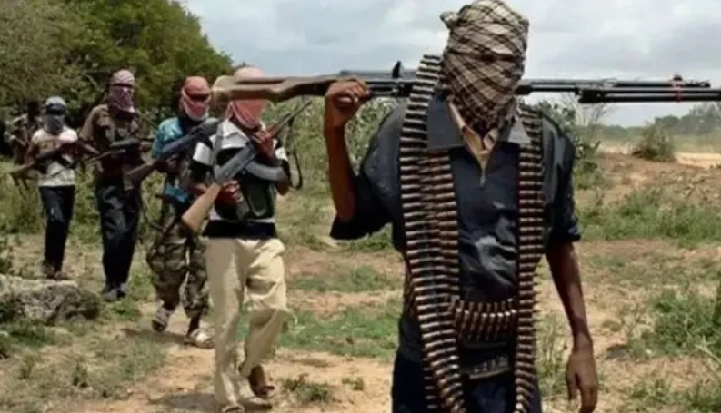 Джихадисти убиха близо 30 жители на село в Нигерия