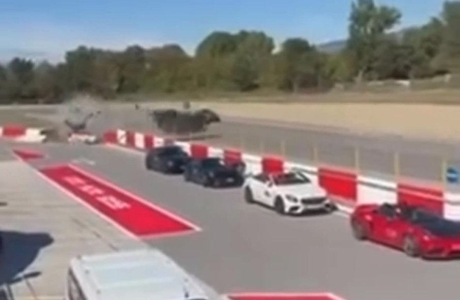 НА КОСЪМ ОТ ТРАГЕДИЯ В СЕРЕС! Автомобил се размаза на пистата по време на събитие на Premium Rally Sofia – Saint Vlas и Speedsector! (ВИДЕО)