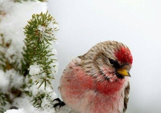 ЗВЕЗДИТЕ ГОВОРЯТ: Днес всяко добро дело се връща стократно - молитвите ви ще бъдат чути