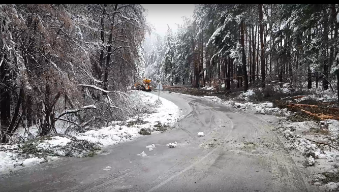 Сняг заваля и на Петрохан
