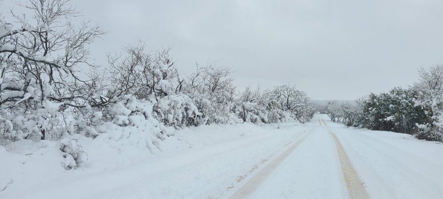 Бедствие в САЩ! Снежна буря връхлетя юга - стотици хиляди са без ток (ВИДЕО)