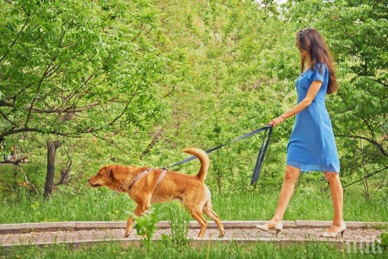 ТАРИКАТЛЪЦИ: Канадка изведе гаджето си на кучешки повод, за да заобиколи локдауна