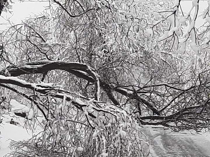 Осем села в Русенско са без ток