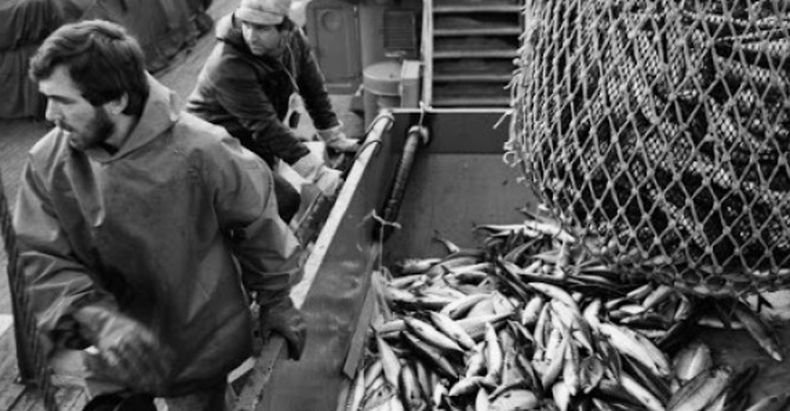 Шотландският риболов е в криза след Брекзит