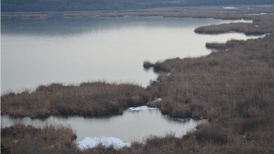 Езерото в резервата Сребърна замръзна