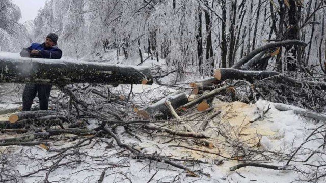Ето как продължава акцията по разчистването на Петрохан