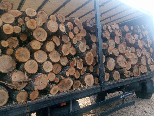 Затвориха фирма за преработка на дърва заради измама