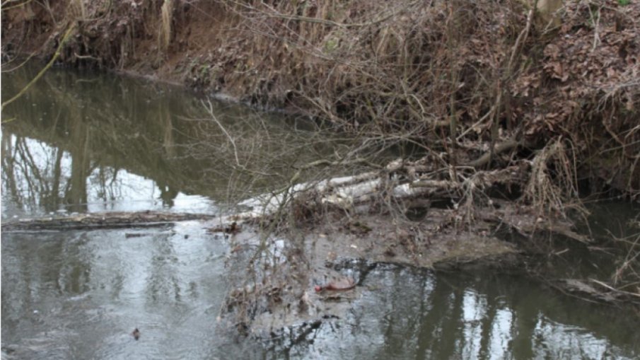 Затлачена река застрашава да остави Разград без вода
