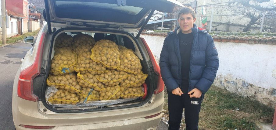 Фирми изкупуват картофи и ги даряват 