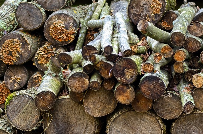 Гореща информация за задържани незаконно добити дърва в няколко региона на страната
