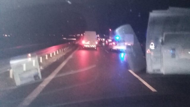 ТИР помля стадо биволи на магистрала Струма