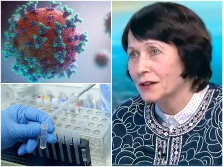 Проф. Нели Корсун с добра новина: Още нямаме южноафрикански и бразилски щам на COVID-19