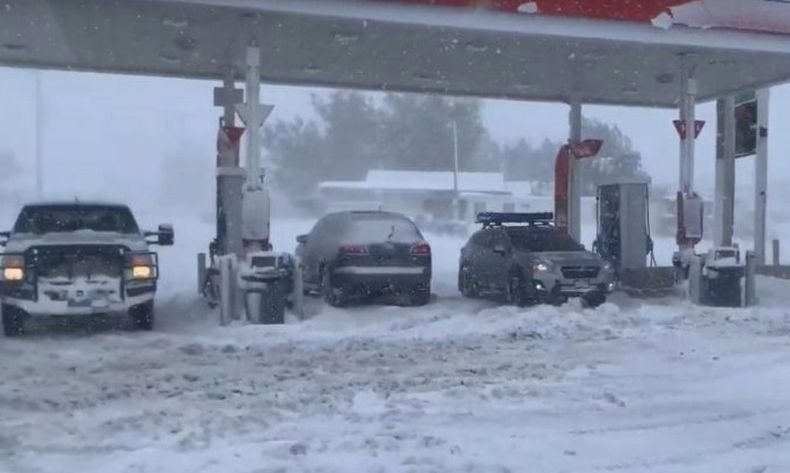 Сняг затрупа Калифорния