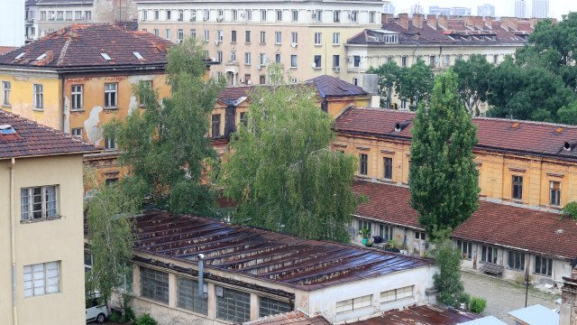 Оправдаха обвинените за продажбата на Царските конюшни