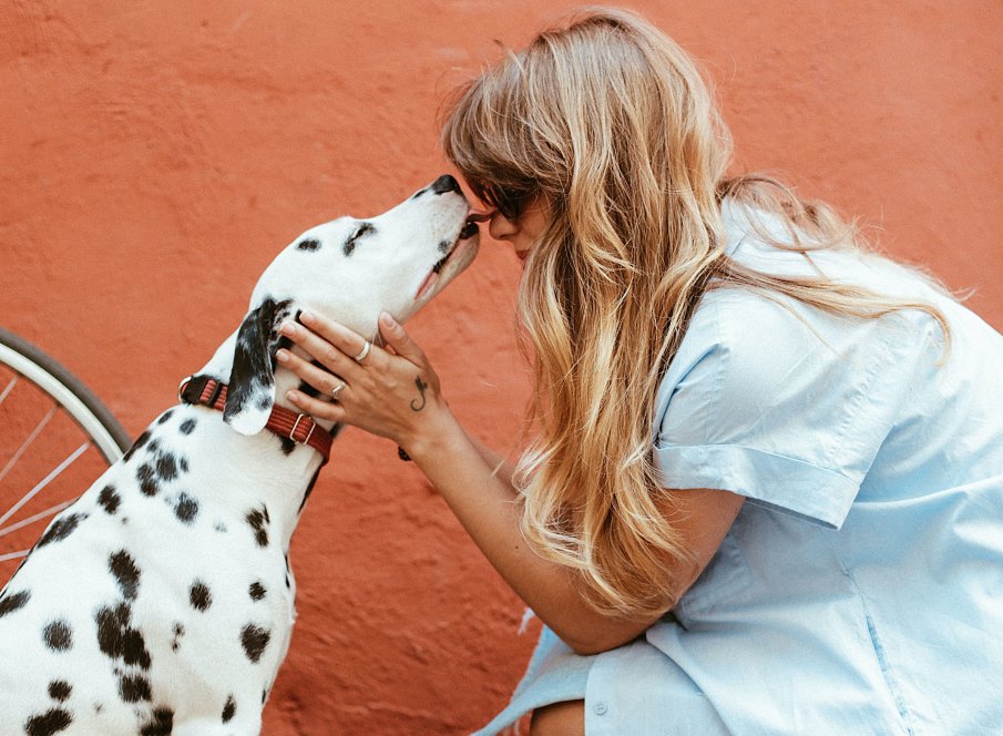 Хората могат да заразяват кучетата със стрес