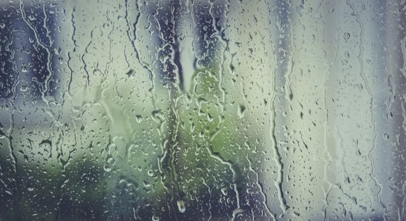 Валежите в Ямболско през януари са надвишил четири пъти месечната норма