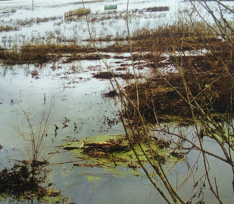 В Димчево бедственото положение е удължено с още 30 дни