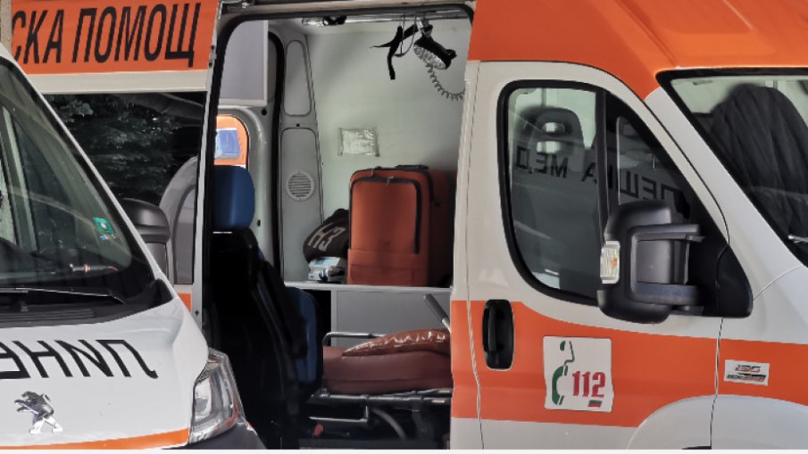 Пони рани момиченце в парк над Благоевград