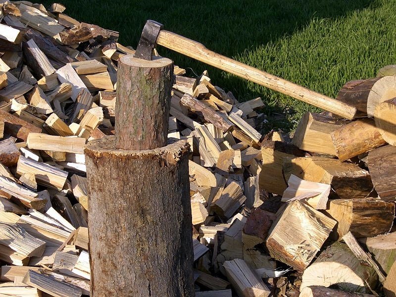 Незаконна дървесина откриха в три имота в Омуртаг