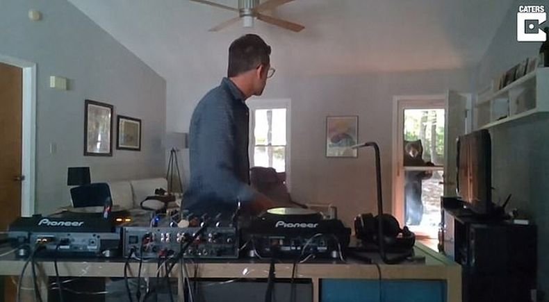 Мечка-меломан се самопокани на партито на диджей (ВИДЕО)