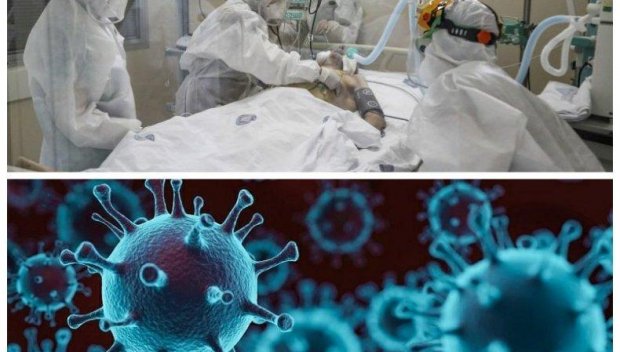 Четири болести ни плашат с пандемия