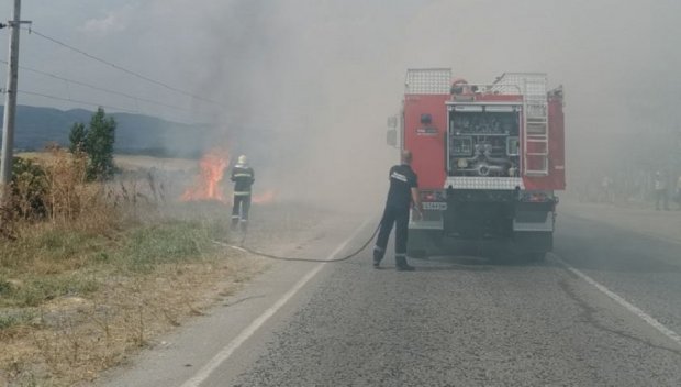 Пламна пожар на Е-79 край село Мурсалево (СНИМКИ)