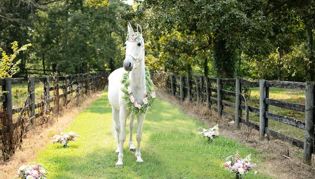 КАТО В ПРИКАЗКА: 3-годишно момиченце, болно от рак, срещна еднорози (СНИМКИ)