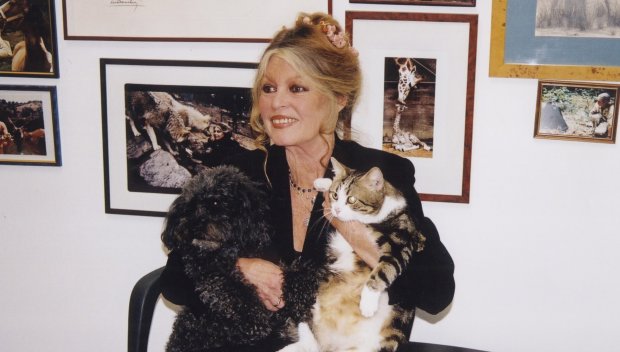 Бриджит Бардо се възстановява след операция